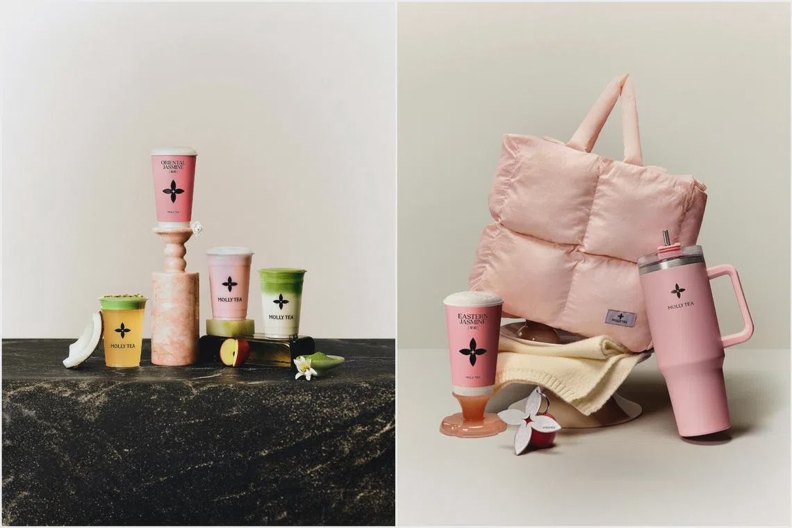 Molly Tea’s Singapore Debut: Why This Chinese Tea Brand Is More Than Just Another Bubble Tea Fad