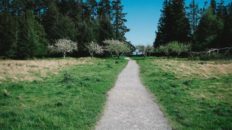Cover Centre Presse Aveyron