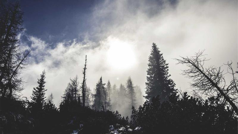 Postin I-Mei -puffien kansikuva