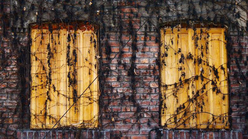 Ikebukuro Pokémon Center: A Guide to Visiting