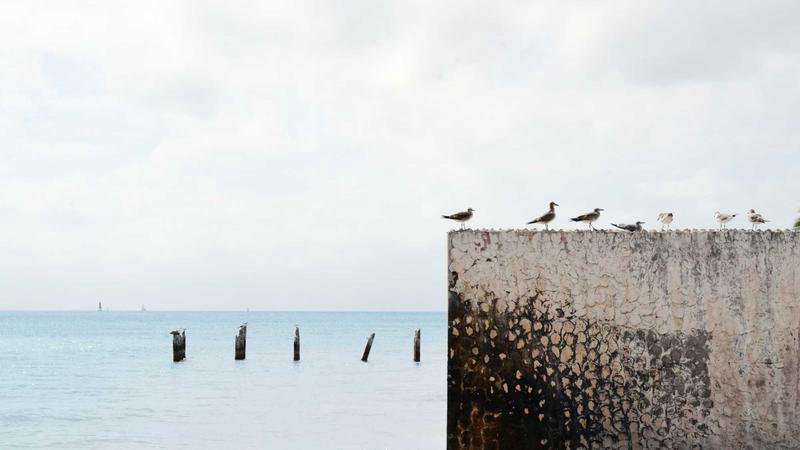 Rotterdam weather view over the Maas