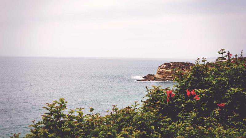 Vanished Series Cover