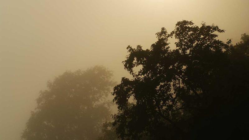 Yoshihiro Maru 150e homerun herdenking