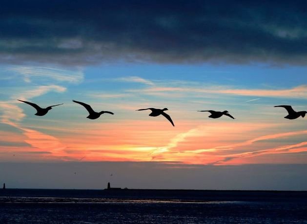 Rain clouds over Irish countryside