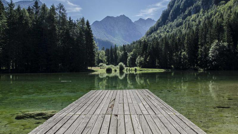 Cover image for the article on current trends