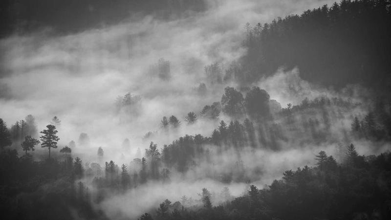 Cover Vanished Serie