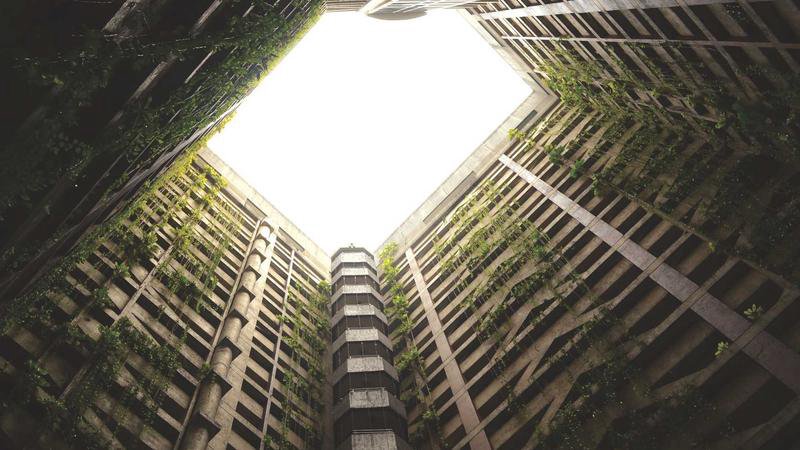 小笠原群島的風景