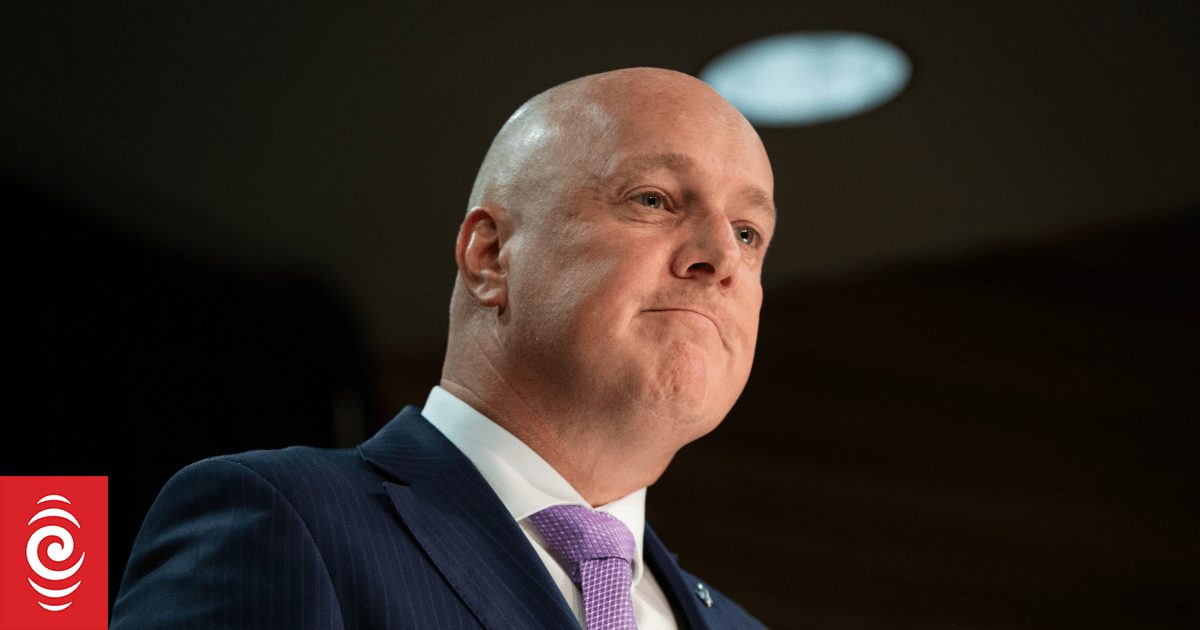 Nicola Willis lors d'un entretien formel