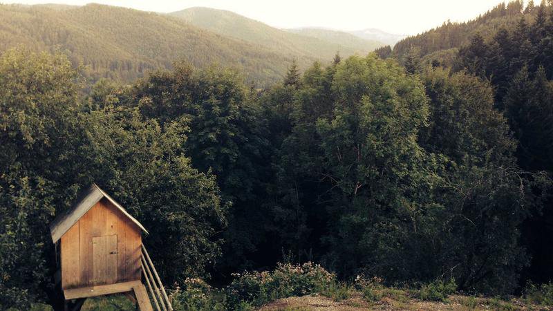 Premier League-topduel tussen Liverpool en Tottenham staat op punt van beginnen