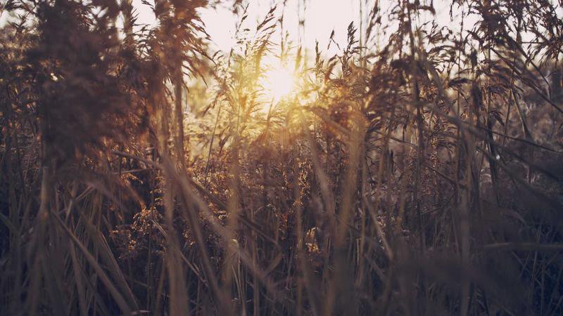 A foreign domestic helper bonding harmoniously with a Singaporean family