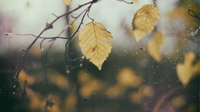 Couverture Centre Presse Aveyron