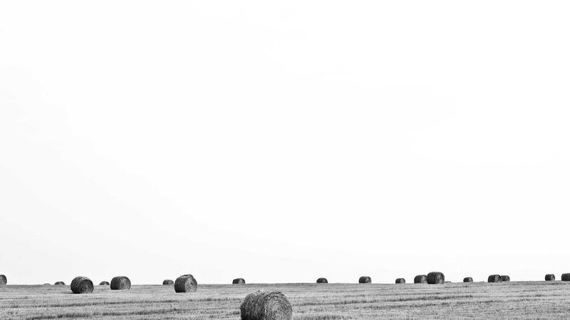 최신 트렌드에 관한 기사의 커버 이미지