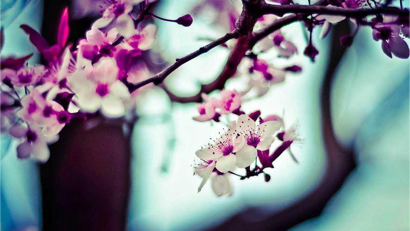 Easter Holidays NRW 2026 Planning