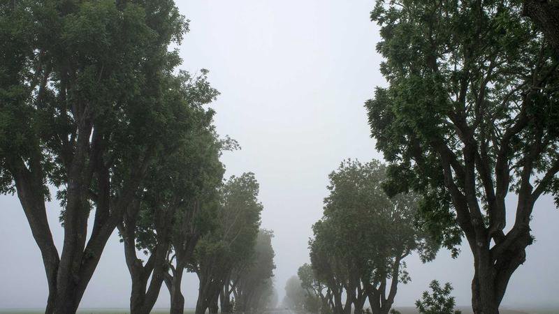 A guide to visiting the Ikebukuro Pokémon Center