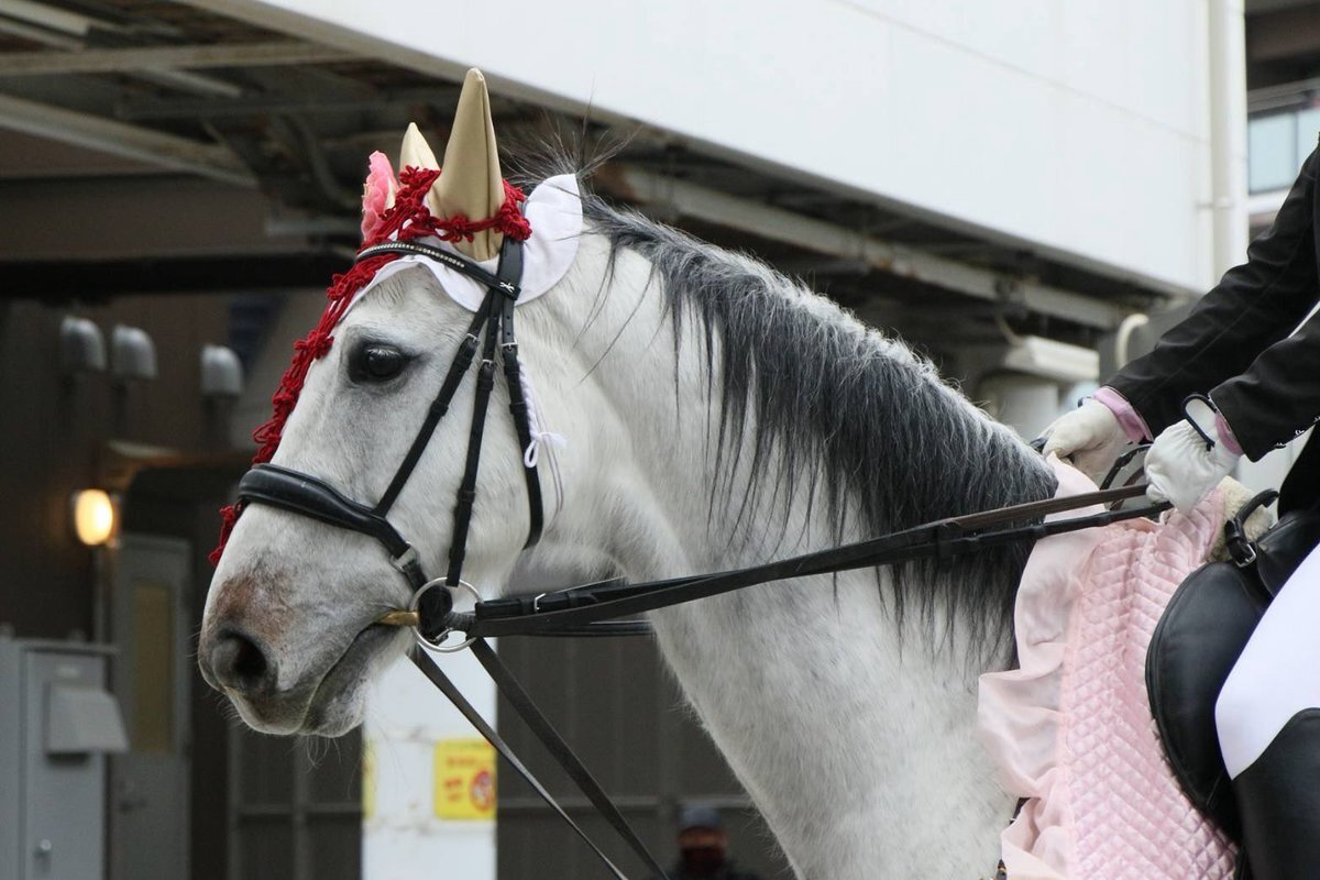Kawasaki Racetrack is Changing! Barbecue, Anime, and a Home Improvement Store: The Evolving Business Strategy of the Racetrack