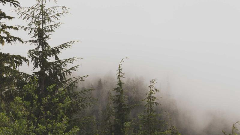 Selección de fútbol de Curazao en acción