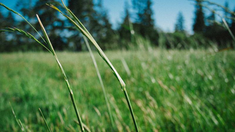 Entwicklung des Immobilienmarkts in Saudi-Arabien