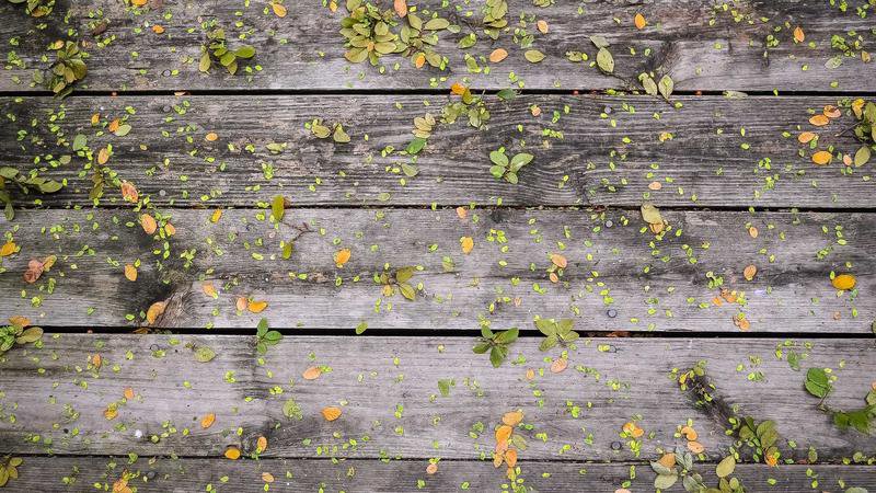 Imagem de capa para o artigo sobre tendências atuais