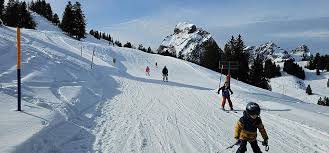 Spring in February: When the Weather Drops Its Mask and Markets Awaken