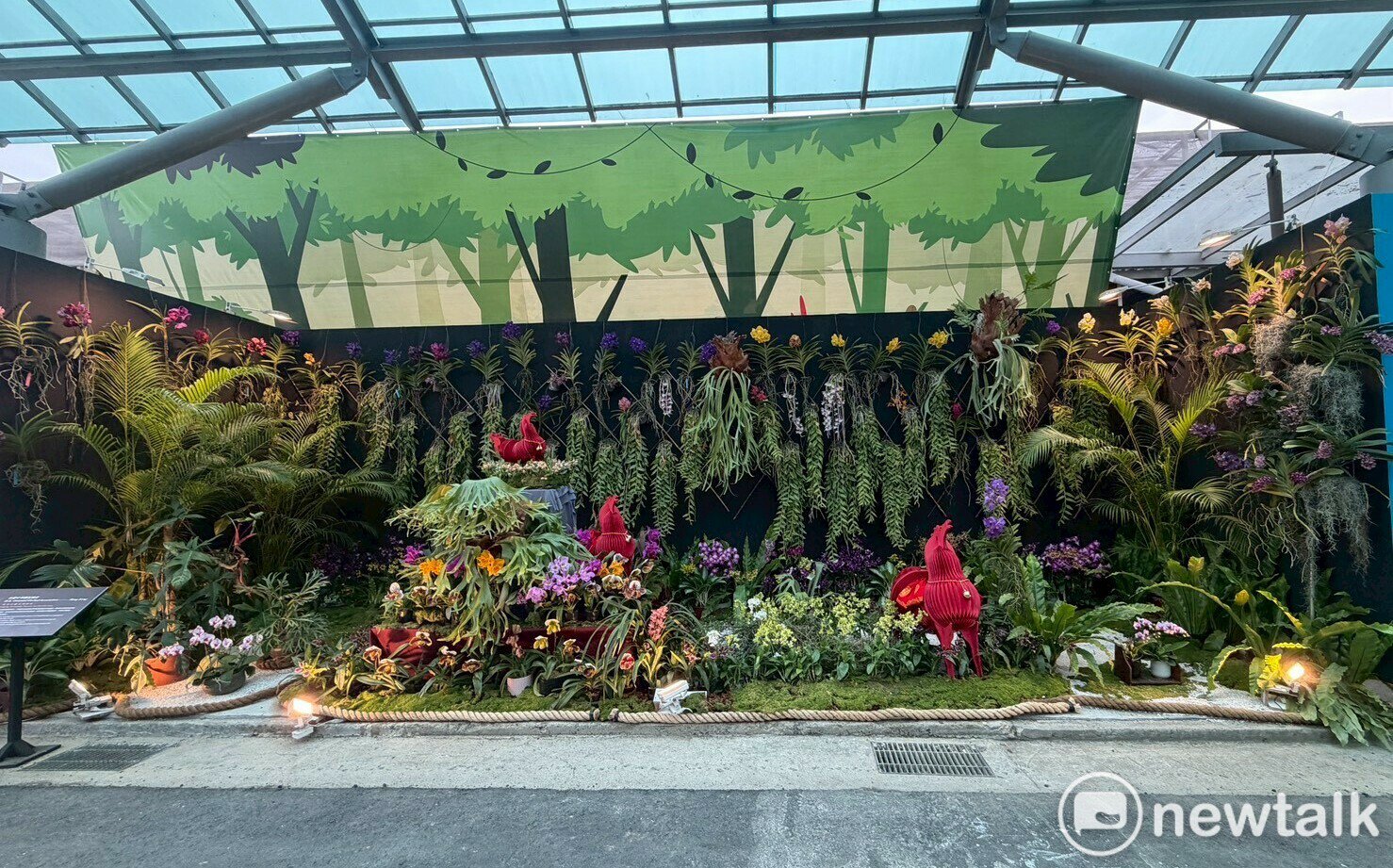 Enchanting scenes from the 2026 Shilin Official Residence Orchid Show