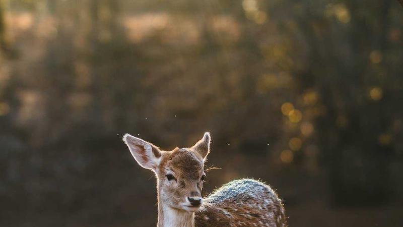 Nuria Brancaccio in azione sul campo