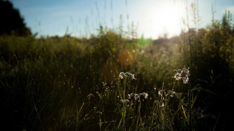 Weather in Ixtapaluca and Los Reyes