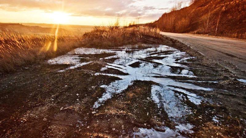 Megaport 2026 visuaalinen ilme ja Kaohsiungin satamanäkymä