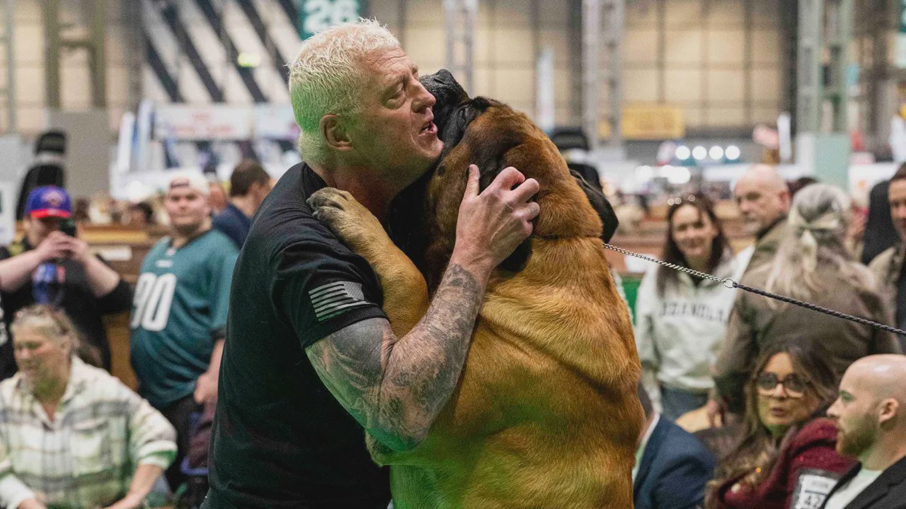 Dustin Rhodes with his mastiff Beast at Crufts 2026
