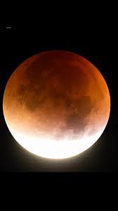 The Little Witch Who Lost Her Broom book cover