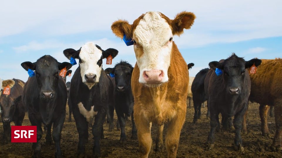 Symbolbild Zeitumstellung