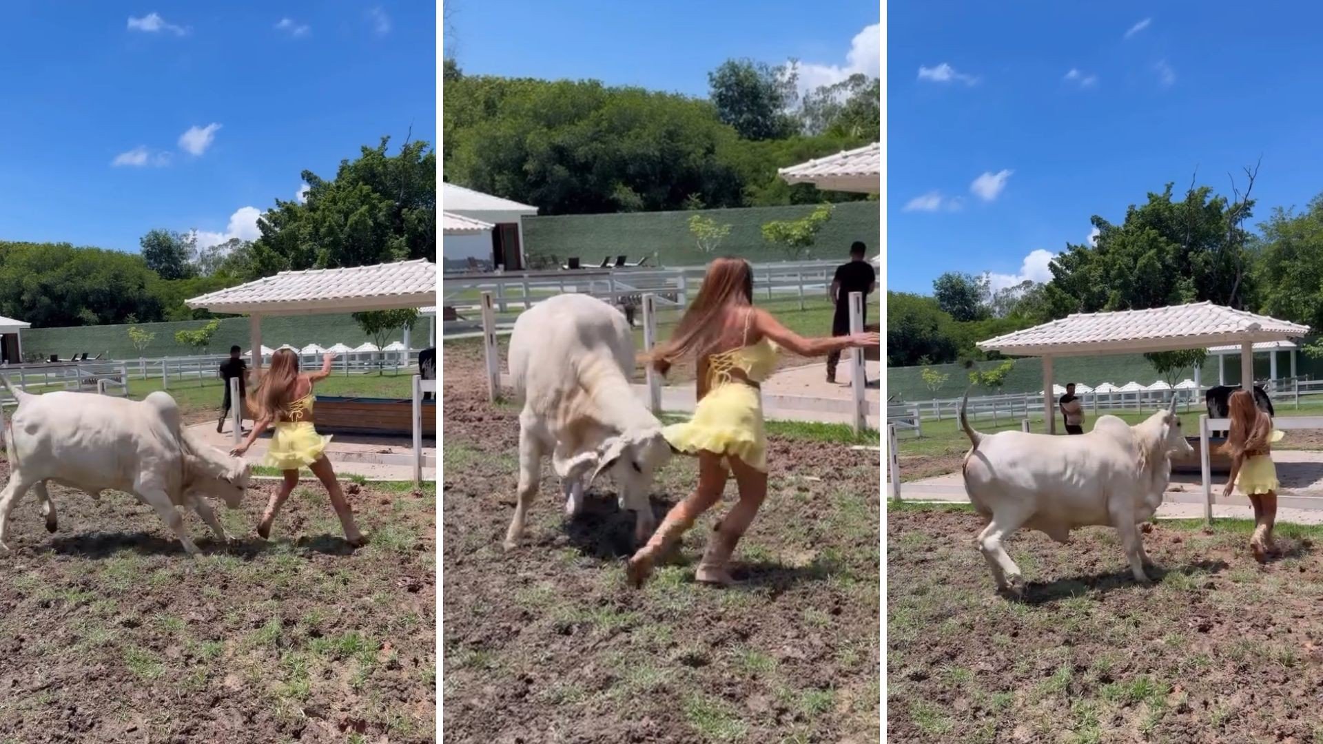 ニコール・バース、牛に襲われかける！ 農場での出来事が映す、ブラジルにおける名声の力