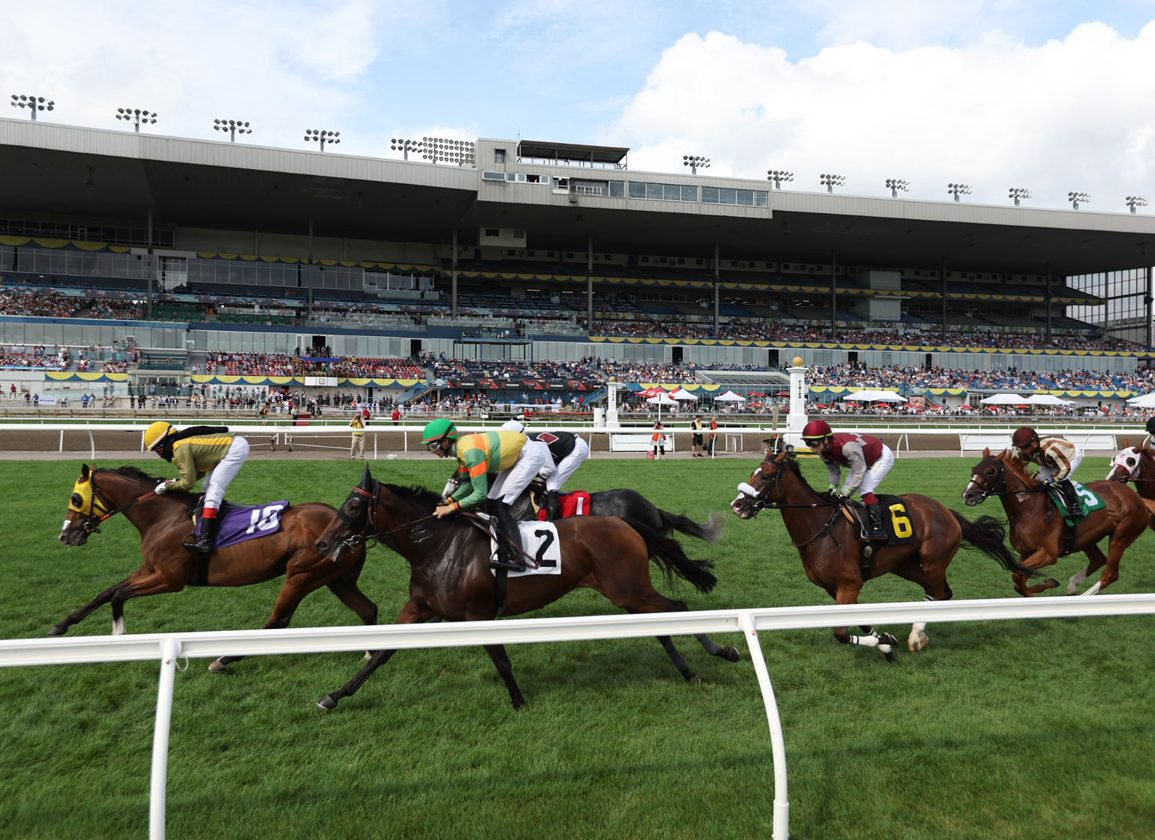Racehorses on a racetrack