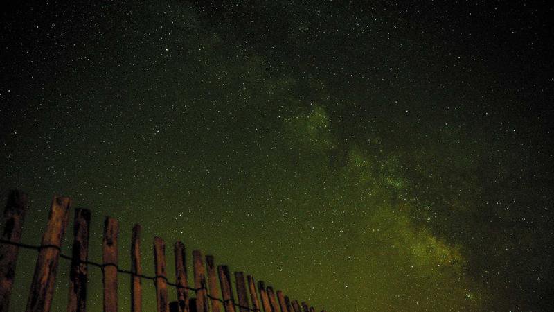 Ikebukuro Pokémon Center Guide