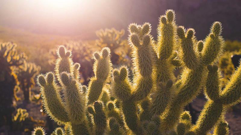 鹿特丹天氣 眺望馬斯河