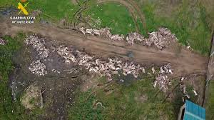 Onda Cero Live: Why Half of Ciudad Real Is Now Glued to the Radio