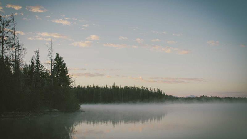 Vannverksvesenet øker farten: Fremtidige forretningsmuligheter i Hongkongs vanninfrastruktur, sett fra Tai Kok Tsui, Tai Po og Kowloon Bay