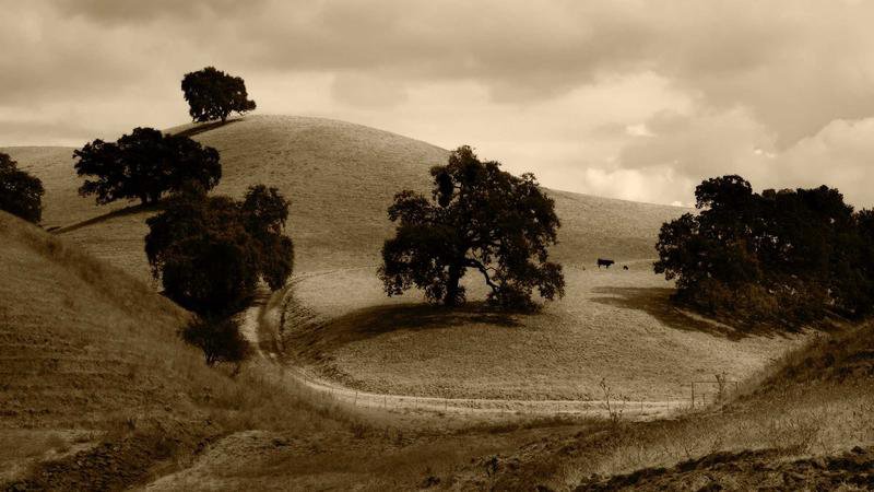 鹿特丹天氣 馬斯河景觀