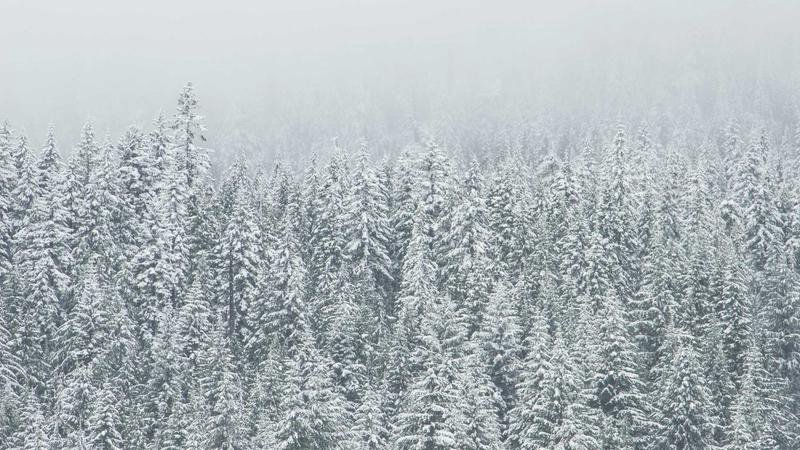 Schermafbeelding van de TRA Ticket Assistant-app