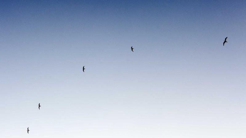 صورة الغلاف