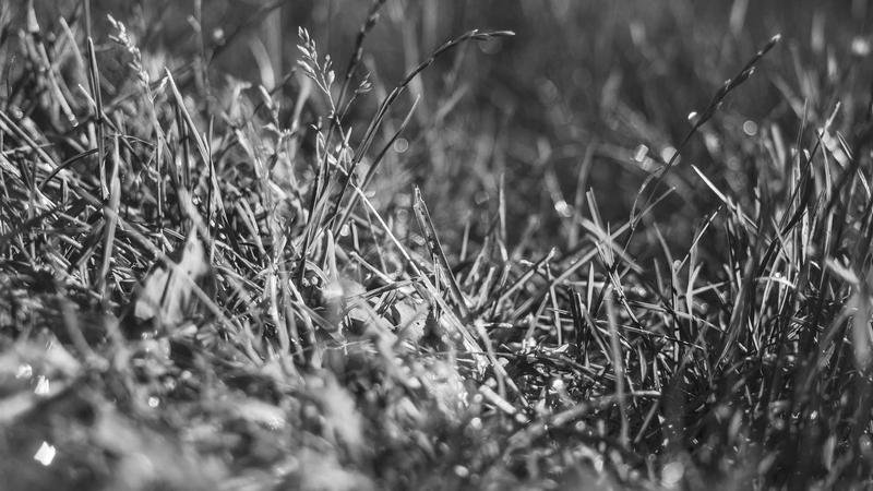 마루 요시히로 선수 150홈런 기념