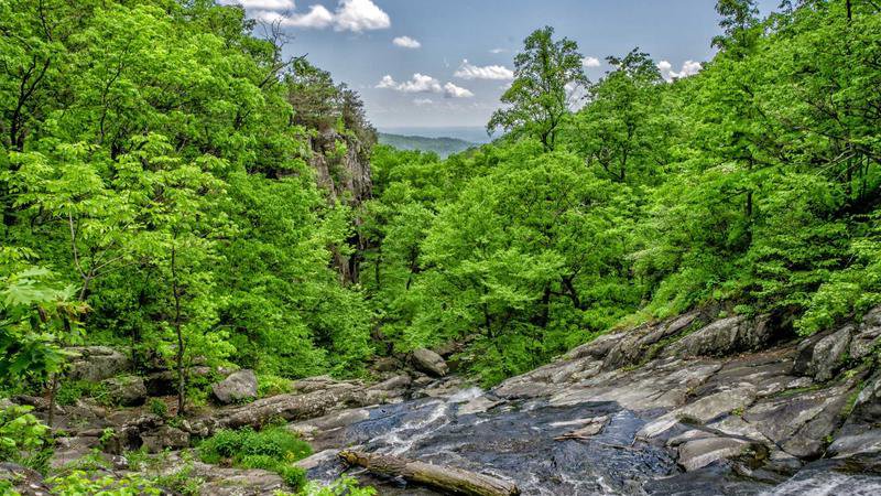 Immagine di copertina di Chuck Norris