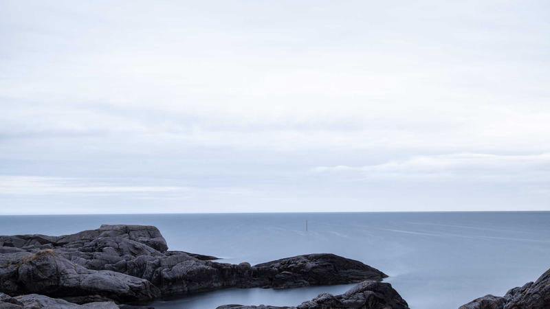 Cover Bild für den Artikel über aktuelle Trends