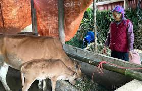 Cover: Collage of Omegle logo, Omeprazole packaging, and Japanese omelette rice