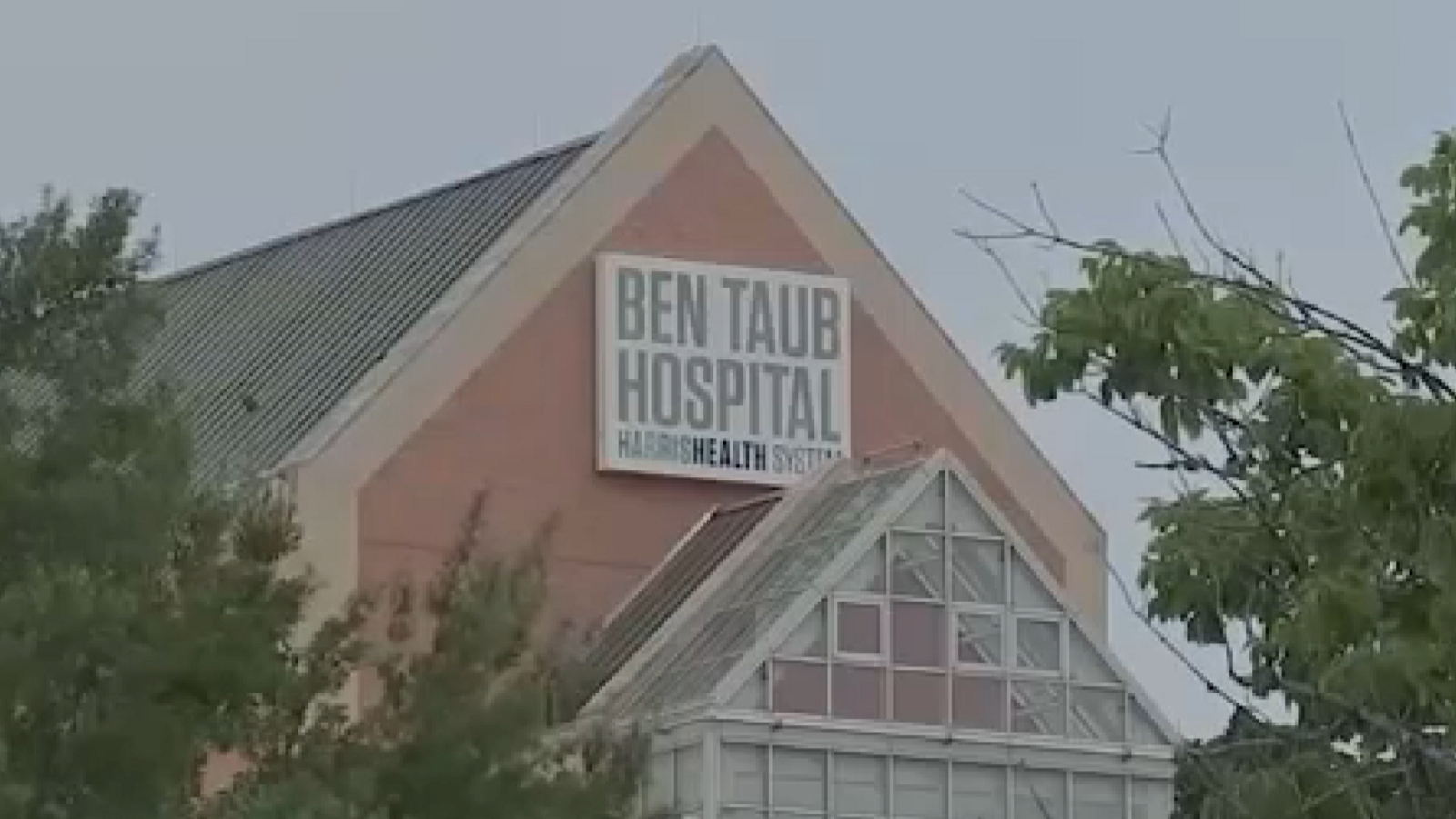 Aerial view of Hermann Park and the Texas Medical Center