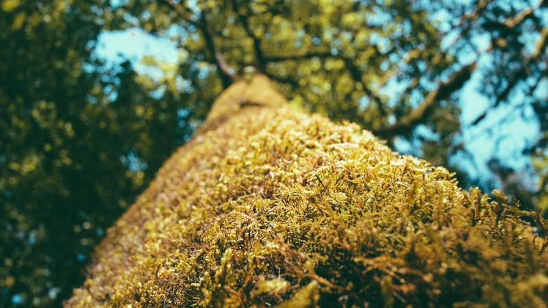 A view of Itami Airport