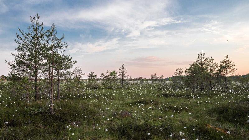 الطقس في إيكستابالوكا ولوس رييس