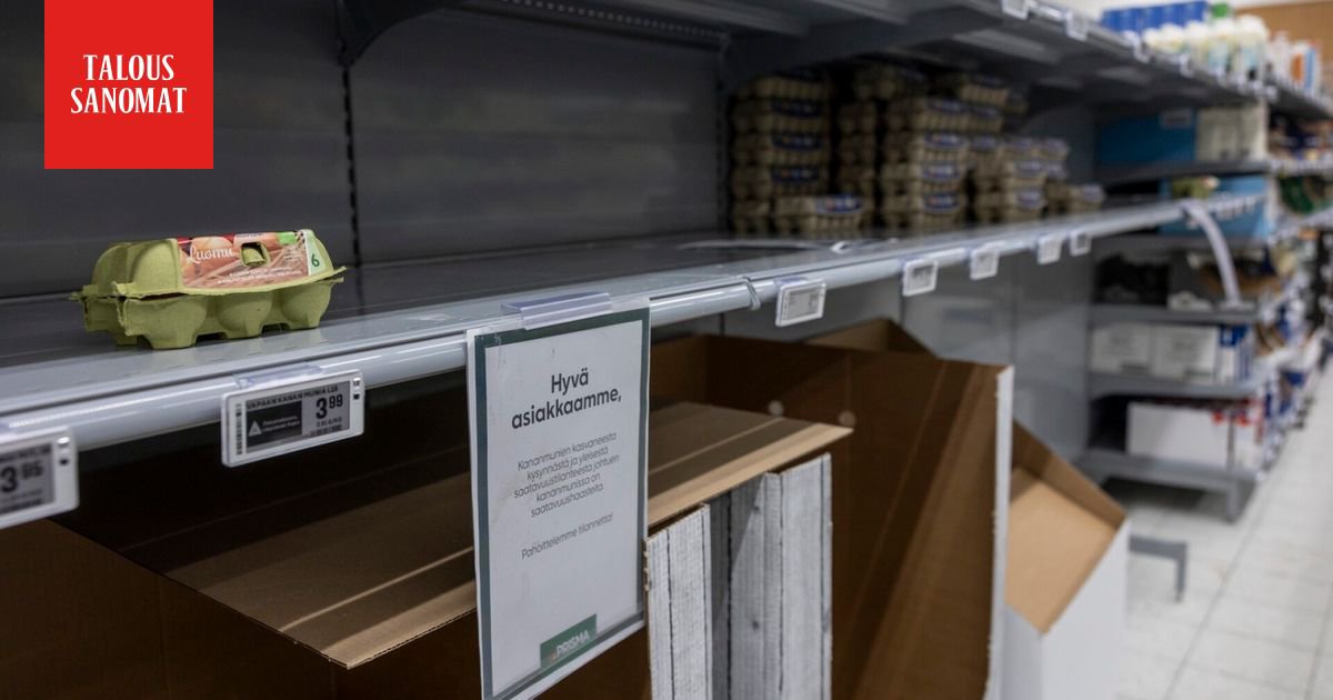 Huevos en el estante de la tienda