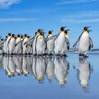 Wellington coffee stall owner Suresh Patel holding a coffee cup