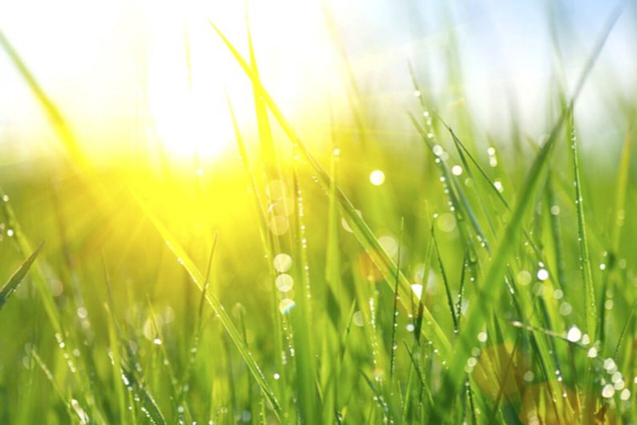 Offerings prepared for Tudigong Worship on Touya