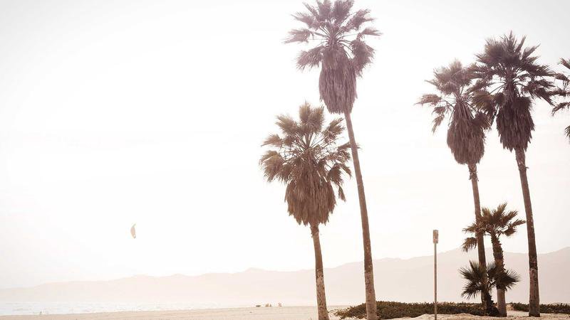 صورة الغلاف